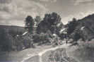Cesta v Tebenicch r.1935