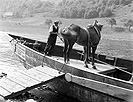 fask k  r.1939