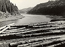 Kmeny u Hornho slapu  r.1932