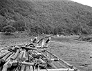  Plavci dc vor  r.1939