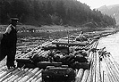 Trhovkyn  r.1939